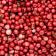 Peppercorns, Pink